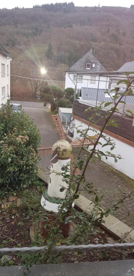 Mosel-Ina Villa Bullay Bagian luar foto